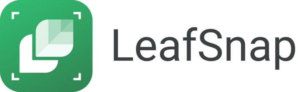 LeafSnap